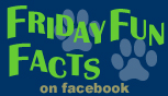 FridayFunFacts