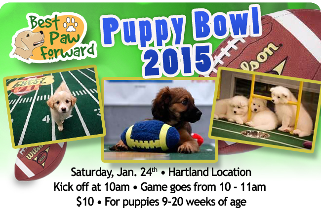 puppy bowl 2015 events puppy bowl 2015 events