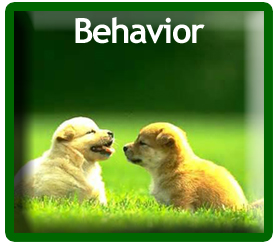 Behavior Image