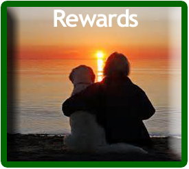 Reward image