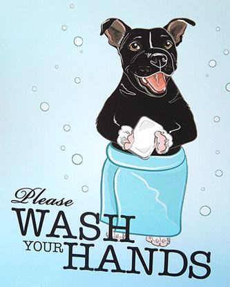 Image result for COVID PET SAFETY